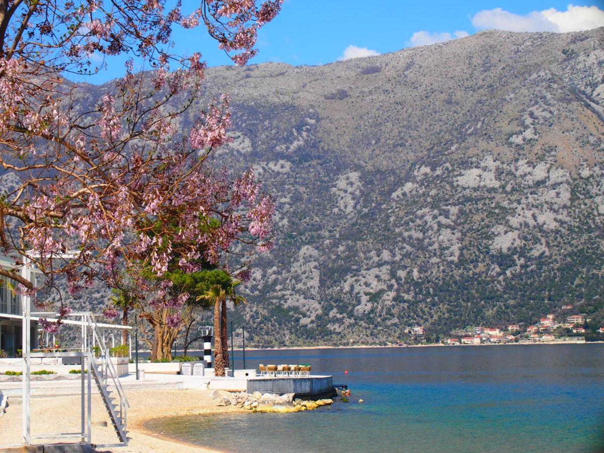 Holiday House In The Kotor Bay Buitenkant foto