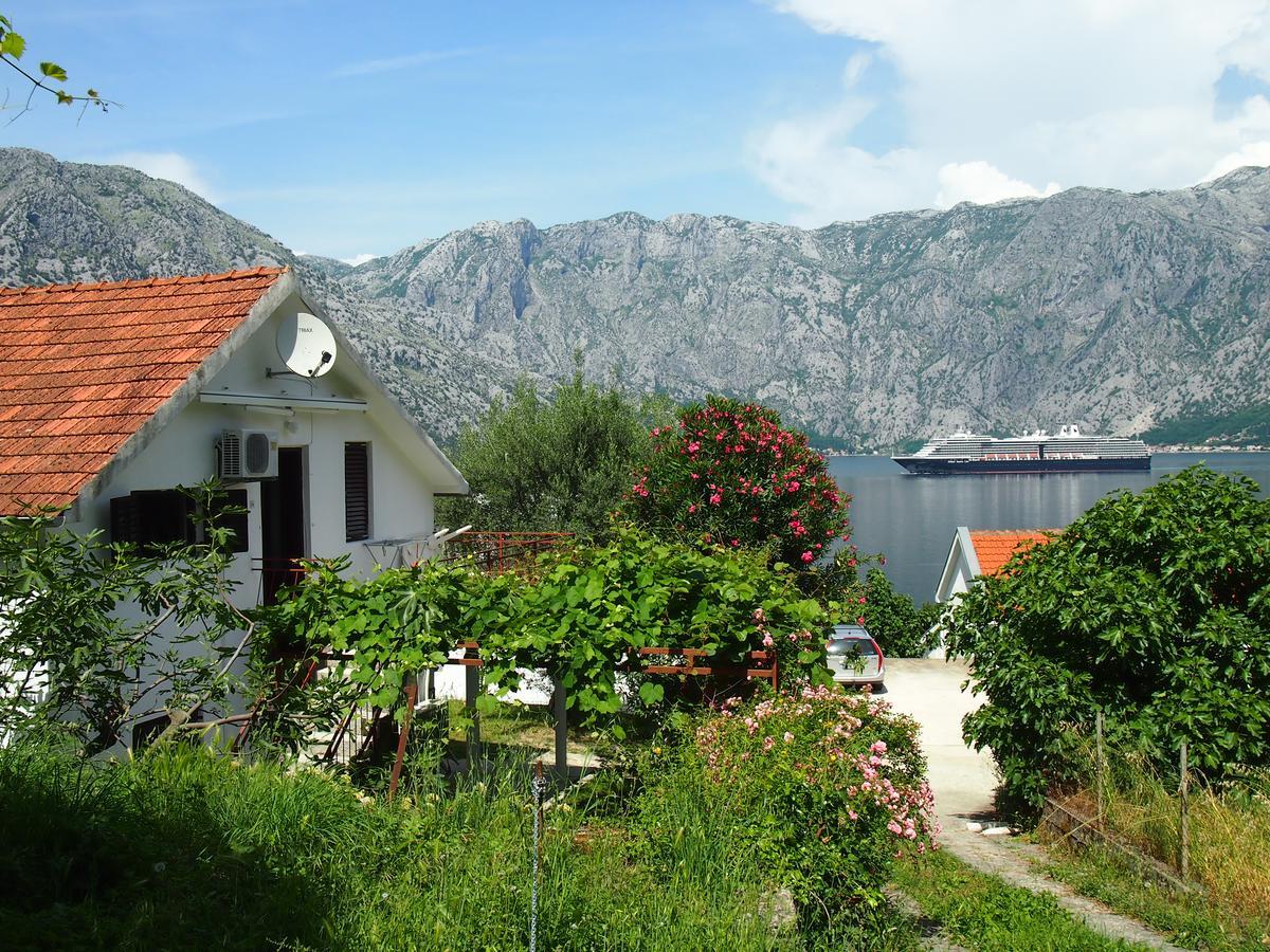 Holiday House In The Kotor Bay Buitenkant foto